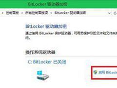 Win10XΆBitlocker(q)(dng)