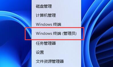 Win11Ƭ鿴W˽QWin11Ƭ鿴W˽Q