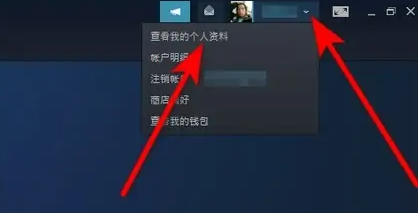 steam~̖(ho)ôԔ-1