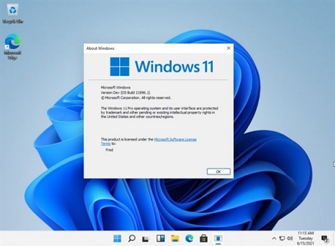 win11ܲM