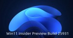 Win11 Insider Preview Build 25931l(f)DC λ㷨MԔ