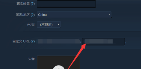 steam~̖(ho)idܸĆԔ-6