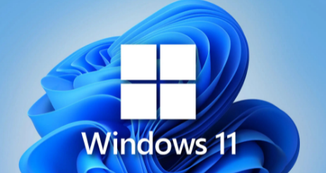 win11ȫӠB(ti)ô_Win11ȫӠB(ti)_N̳