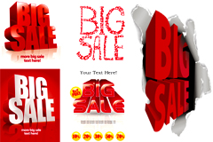 ˇg(sh)BIG SALEʸD