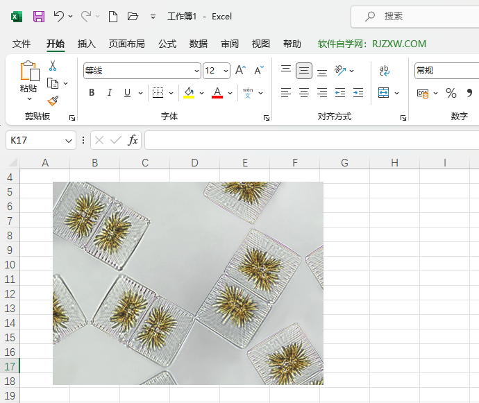 Excel2021βһDƬ5